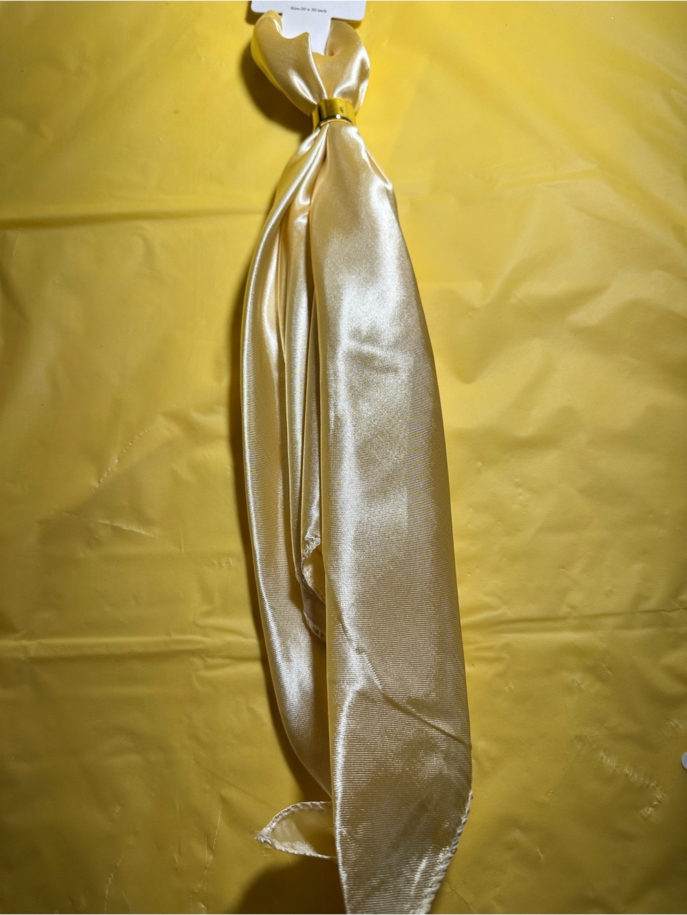 Silk-Look Satin Scarf/Purse Accessory in Champagne Gold